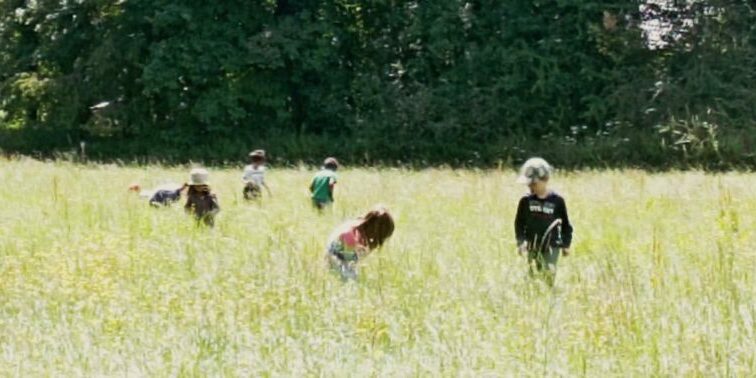 453572466_814638143988878_3022668053617311862_n