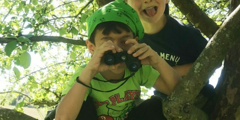 IMG_20250429_150350 IMG_20250429_150350
